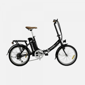Hybrid Bicycle With Gear