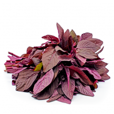 Amaranthus - Red